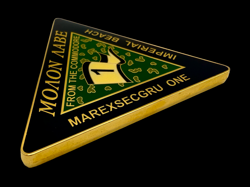 Hard enamel challenge coin with gold plating and glass particles