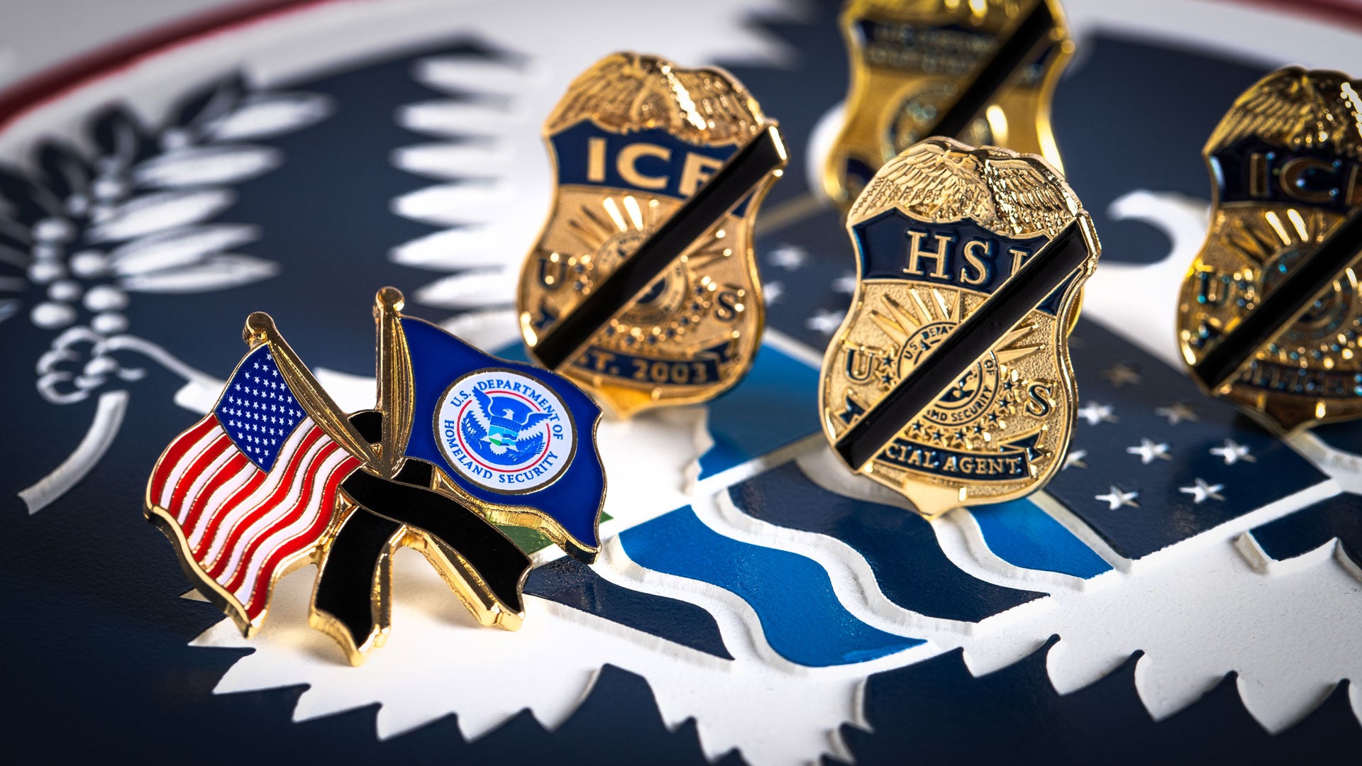 A collection of custom pins, badges and emblems for the US government