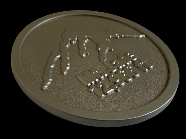 Die Cast Zinc Badge with Matte Nickel for Consumer Products