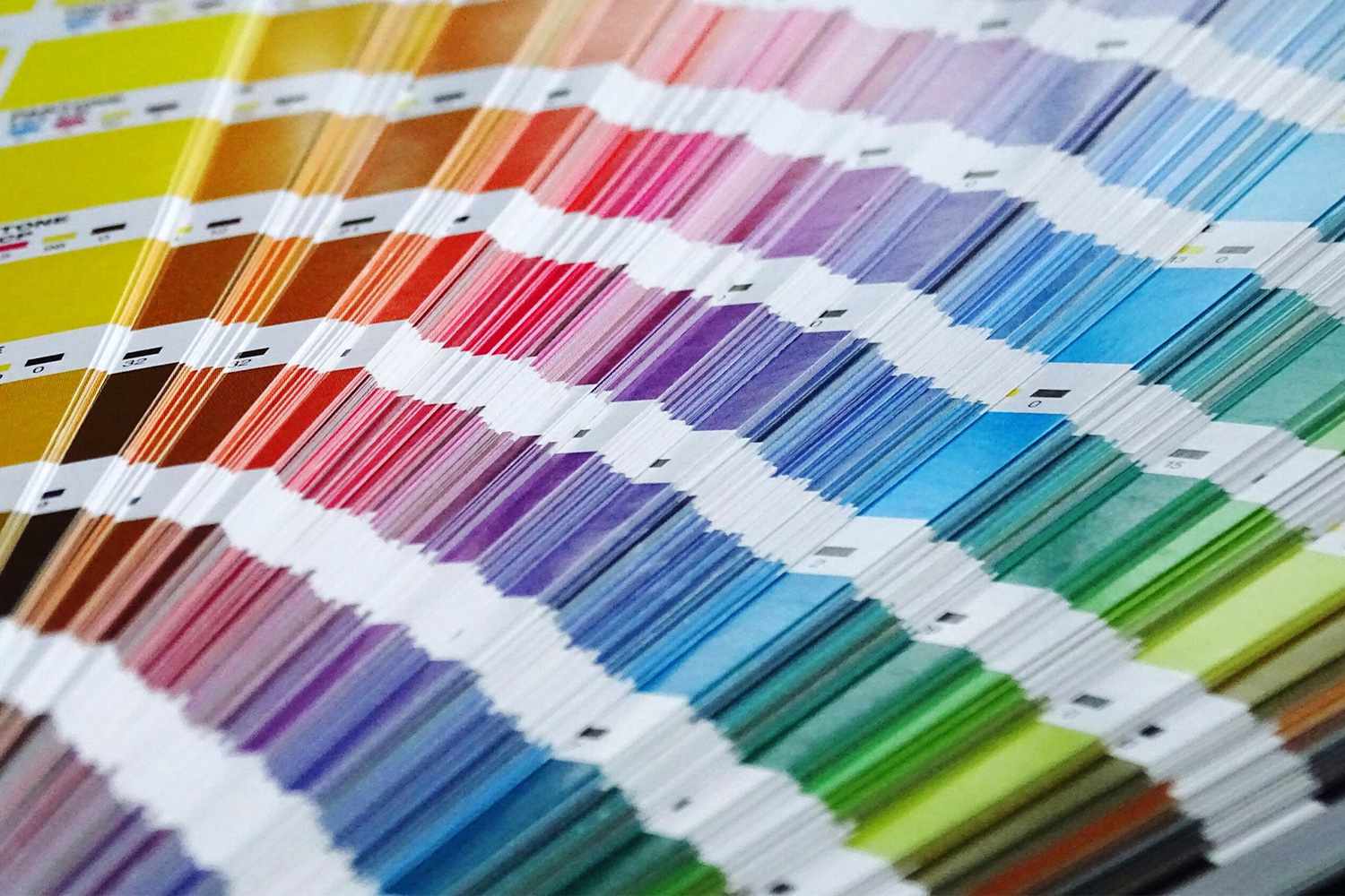 Collection of pantone strips to show color options