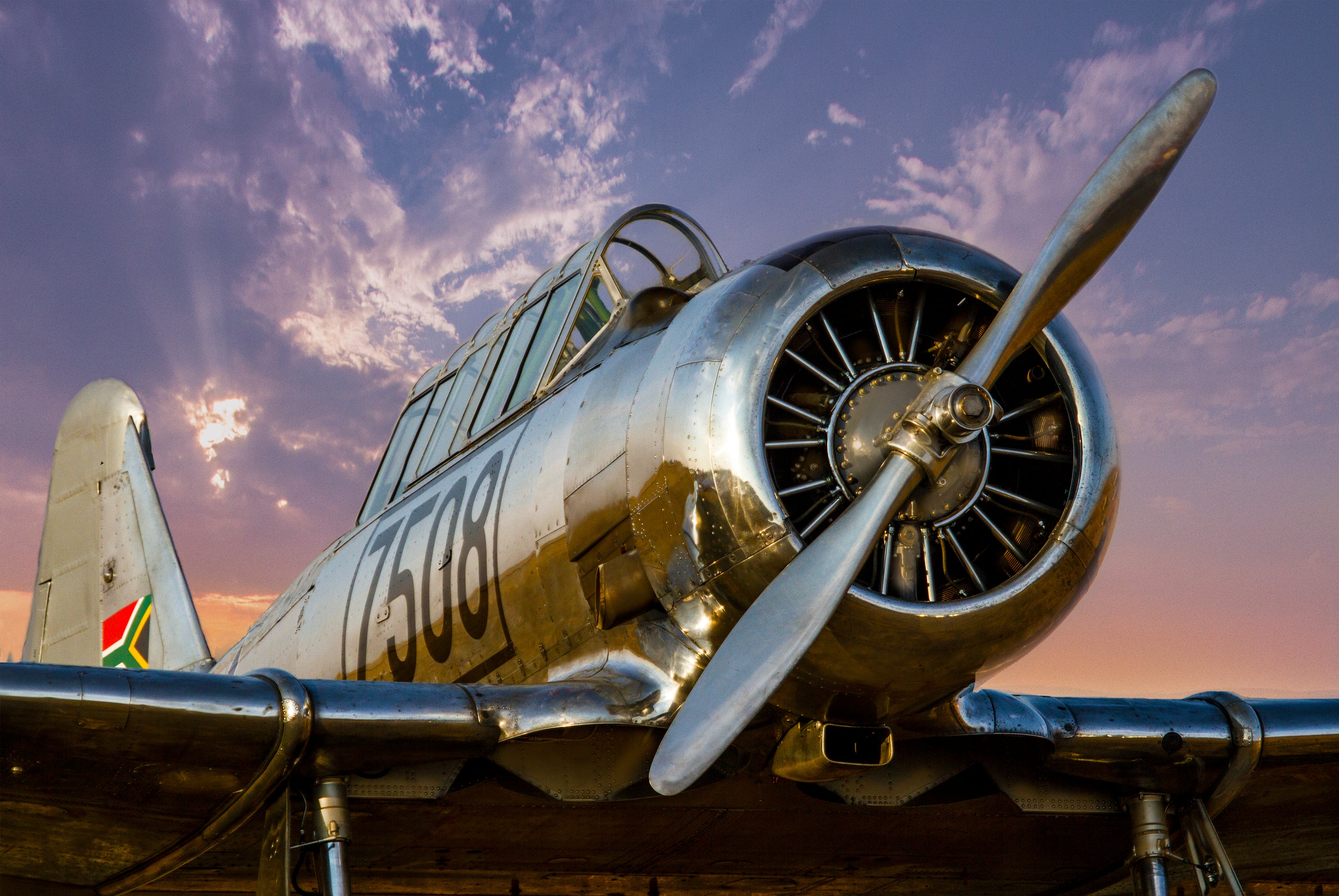 Aircraft with badges